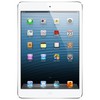 Apple iPad mini 16Gb Wi-Fi + Cellular белый - Донецк